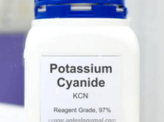 氰化钾安乐死氰化钾购买氰化钾胶囊英文Potassium cyanide